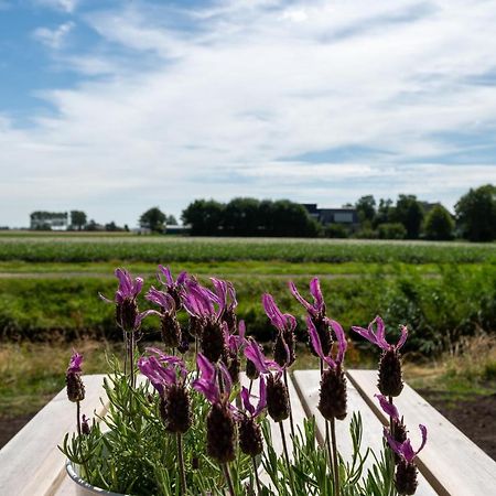 Appartement De Dageraad In Monumentale Boerderij Kimswerd エクステリア 写真