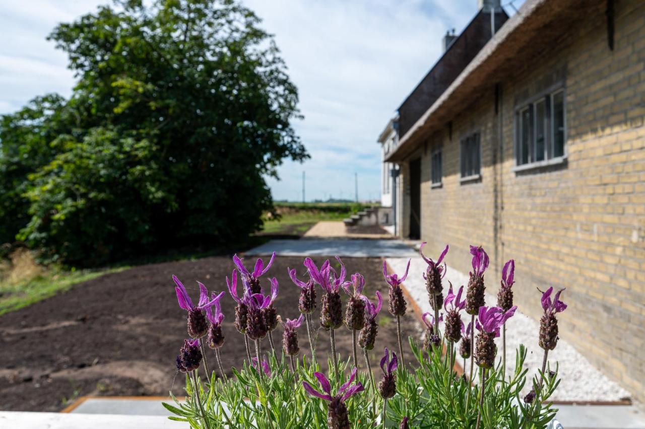 Appartement De Dageraad In Monumentale Boerderij Kimswerd エクステリア 写真