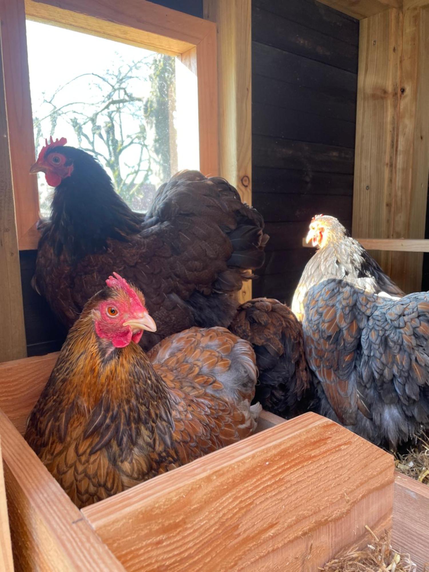 Appartement De Dageraad In Monumentale Boerderij Kimswerd エクステリア 写真