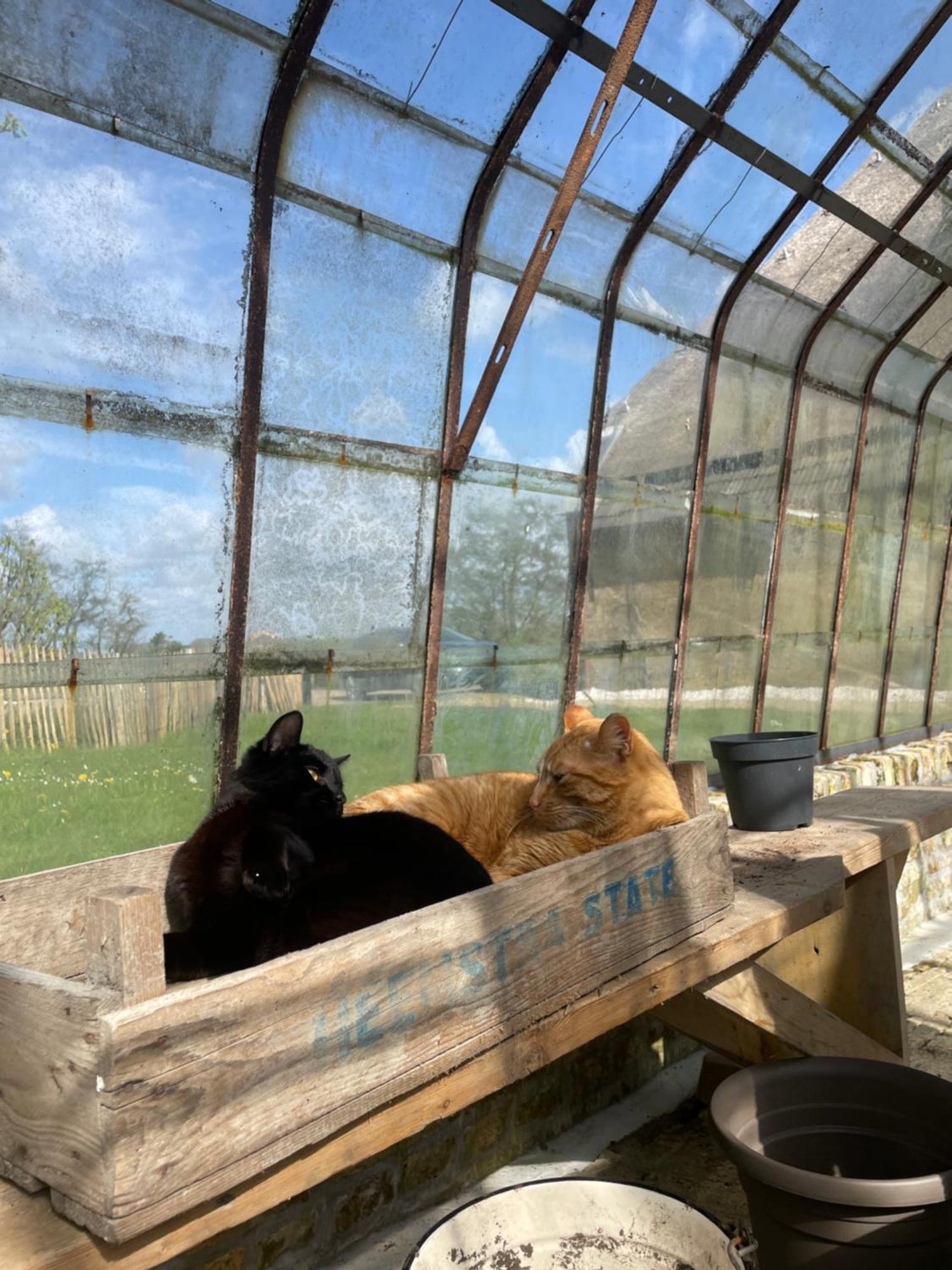 Appartement De Dageraad In Monumentale Boerderij Kimswerd エクステリア 写真