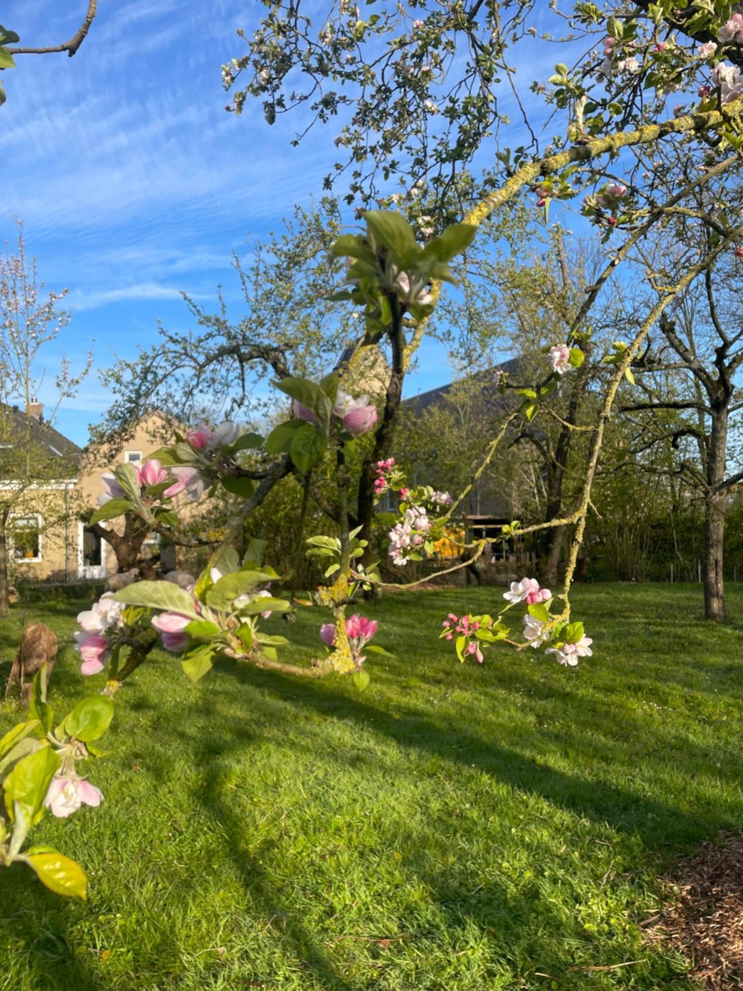 Appartement De Dageraad In Monumentale Boerderij Kimswerd エクステリア 写真