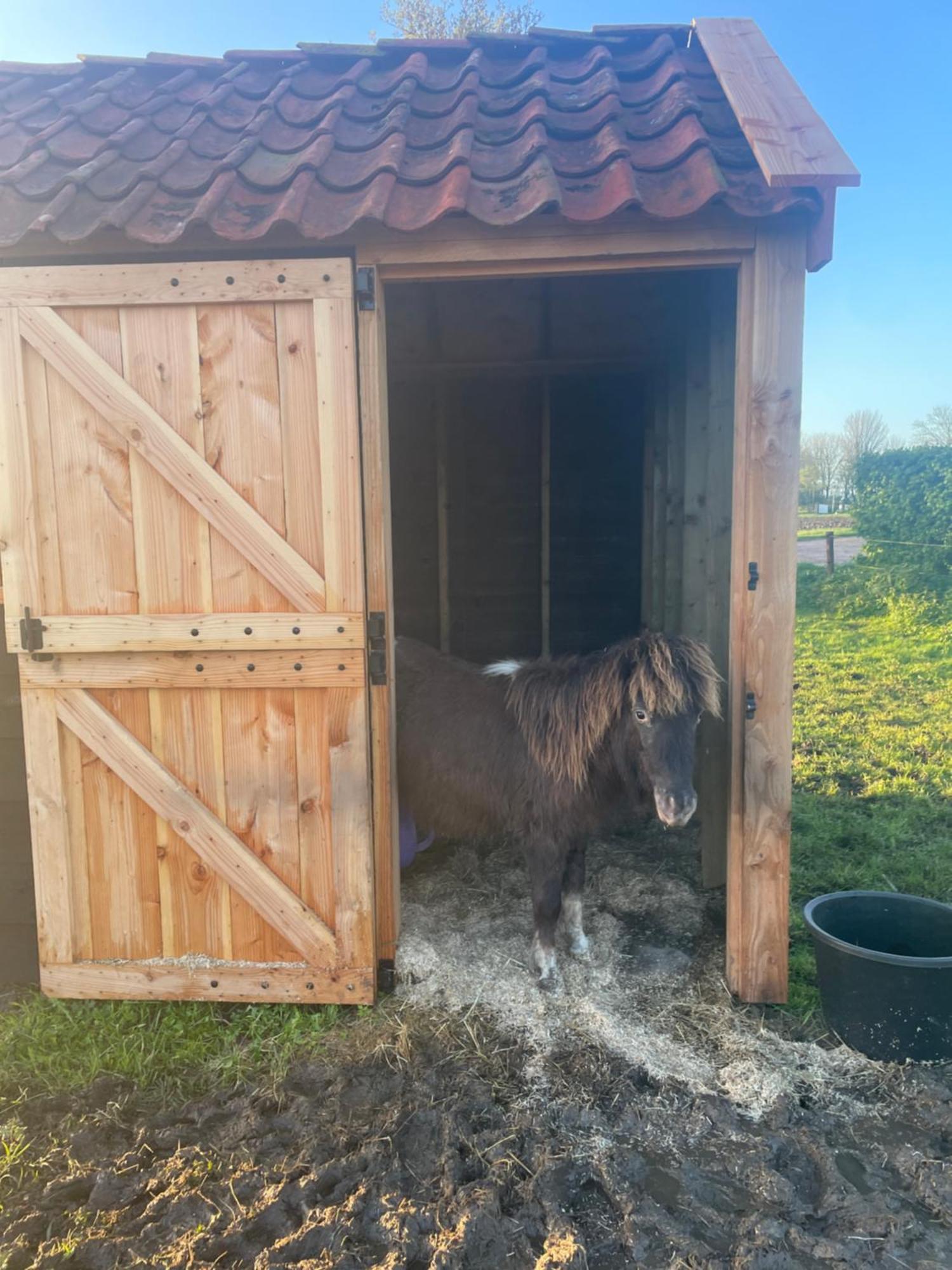 Appartement De Dageraad In Monumentale Boerderij Kimswerd エクステリア 写真