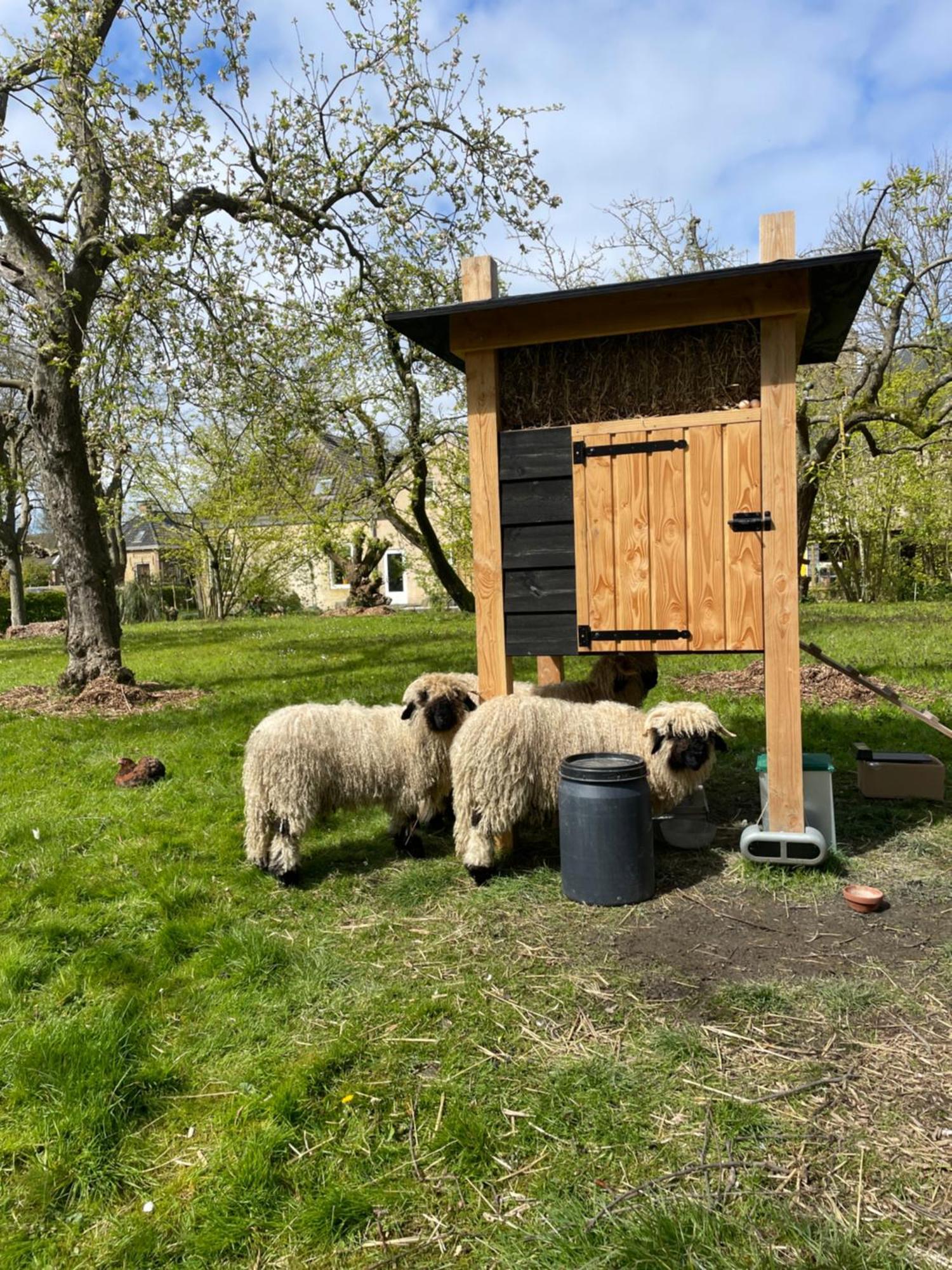 Appartement De Dageraad In Monumentale Boerderij Kimswerd エクステリア 写真